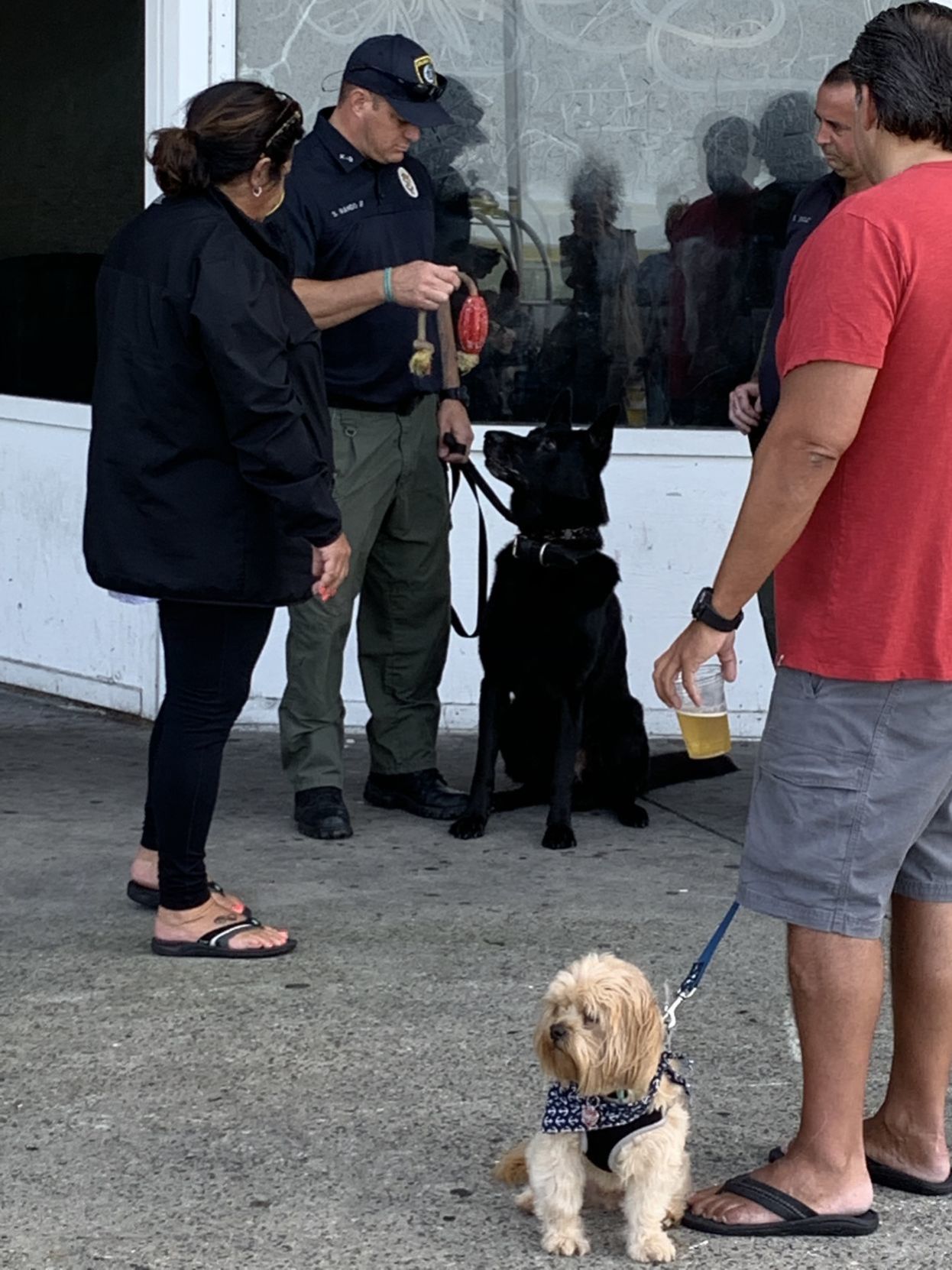 Dog Day (12).JPG